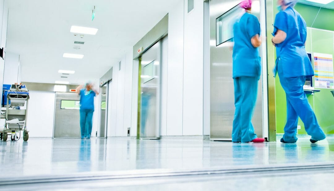 wood wyant produits nettoyage sanitaires - Les entreprises JYT